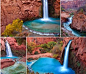 【桃源的绝色瀑布】Havasupai Falls Arizona的苏派村是美国唯一不通公路小镇, 进出依靠步行，骑马或直升机。 这个远离尘嚣的村落里，隐藏着最浓笔重彩的瀑布群。黄叶红岩绿树，蓝宝石般的池子, 神仙住的地儿。