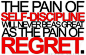 the pain of self discipline will never be as great as the pain of regret!!