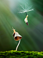 (7) Tumblr