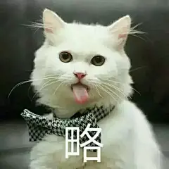 “略略略，你能拿我怎么办Ψ(￣∀￣)Ψ”
    #表情包#