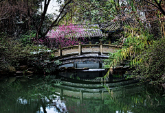 魔法小锦鲤采集到国风