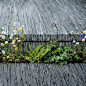 Very visually appealing slate paving forming the perfect backdrop to some greenery