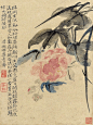 绿润云深溪水斜，烟尘隔断岸生花。滟光荡日开朝锦，露影沉波堕晚霞。翡翠背人如数息，白鸥逐浪似乘槎。一番苇雨澄清极，归棹忘机醉若耶。
（清 石涛 芙蓉花）