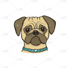 狗,巴哥犬,宠物项圈,动物手,动物头,身体绘画,宠物,可爱的,衬衫