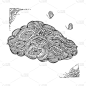 Hand-drawn decorative elements for design.