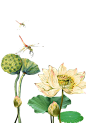 6dbce2ef7e042b763db96ad7ae26a2e4