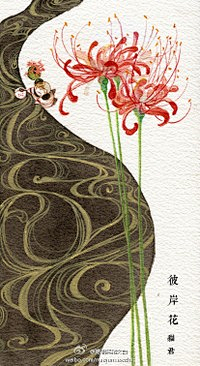 小小花蕾蕾采集到彼岸之花——曼珠沙华