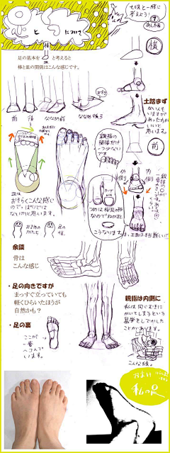困╯﹏╰采集到脚的画法