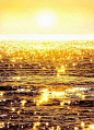 the sun shines brightly over the water as it reflects on the surface in this photo