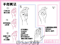 #绘画学习# 男女的设计绘制画法区别，详细且实用，从骨骼，肌肉等各种方面上，观察男女身体画法的差异~学起来，转给需要的小伙伴们吧~
