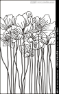 太阳花,花纹线条边框,设计素材,设计,汇图网www.huitu.com