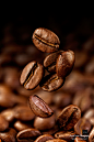 Coffee Beans : arash2c.com