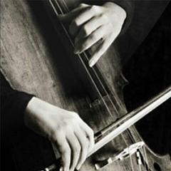 hi老秦采集到cello