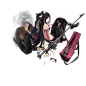 pic_PzB39_1506_D.png.merge