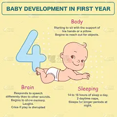 4个月大的新生婴儿。发展信息图