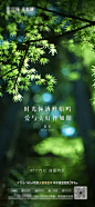 夏至节气海报-源文件