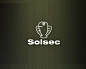 Solsec标志 老鹰 鸟类 安全 安防 简约 站岗 保卫 守卫 商标设计  标志 logo 国外 外国 国内 品牌