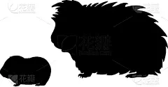 小的,豚鼠,几内亚,幼小动物,可爱的,家庭,模板,哺乳纲,剪影,爱
