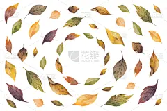 秋天,水彩画,玫瑰,九月,请柬,十月,婚礼,问候,排列