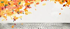 文艺,清新,秋季,秋天,手绘,漂浮红叶,树叶,橙色,石板路,地板,立体,背景,海报banner,小清新,简约图库,png图片,网,图片素材,背景素材,3879533@飞天胖虎