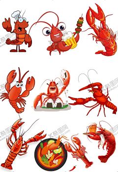 卡通小龙虾插画元素大合集 【酷图网】龙虾养殖,油焖大虾,小龙虾,小龙虾手绘,小龙虾易拉宝,小龙虾宣传单,小龙虾上市,新鲜小龙虾,美味小龙虾,盐水小龙虾,蒜香小龙虾,五香小龙虾,水煮小龙虾,啤酒小龙虾,麻辣小龙虾,香辣小龙虾,十三香小龙虾,盱眙小龙虾,手抓小龙虾,蒜蓉小龙虾,小龙虾绘画,小龙虾包装,小龙虾海报,小龙虾插图,小龙虾烧烤