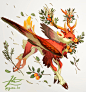 (96) Pinterest