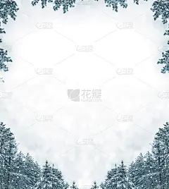 用冷杉树枝装饰的圣诞卡