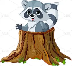 在树桩的浣熊
