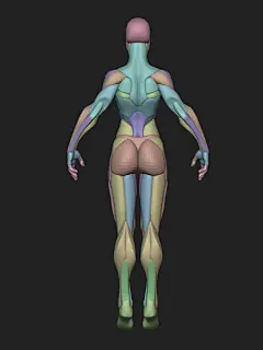 bli : 3d character artist ,3D instructor,MAXON BodyPaint 3D Artist