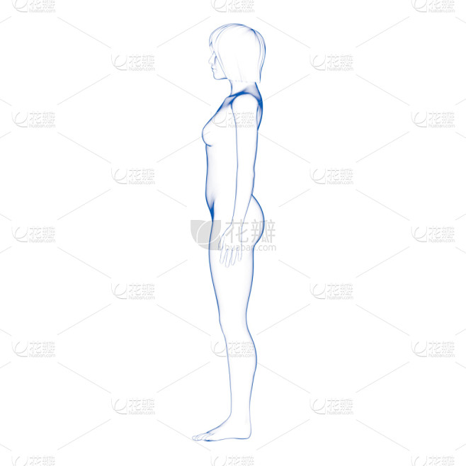 绘画插图,侧面视角,女性,形状,仅成年人,充满的,三维图形,成年的