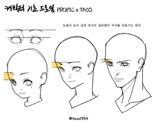 画师taco头部 五官绘制教程 ​​​ ...