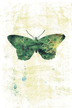 Butterflies and Moth...