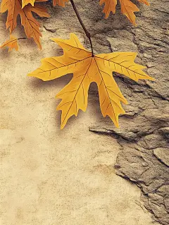 Midjourney，Ai绘图，节气秋分海报，可帮做_5_小天抗狼AI_来自小红书网页版