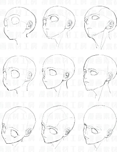 月一太马采集到038 人体