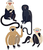 猴子 -  Laura Edelbacher插图和平面设计#illustration #animalillustration