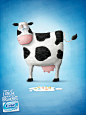 Wrigley 20Orbit牙线产品的宣传海报-别让午餐遇见早餐cow_9