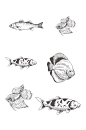 鱼类素描简笔画合集