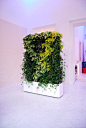 moving_hedge_misaelgallery_milano_april2010.jpg (1586×2362)