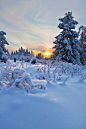 冬季雪景晚霞高清图片图片