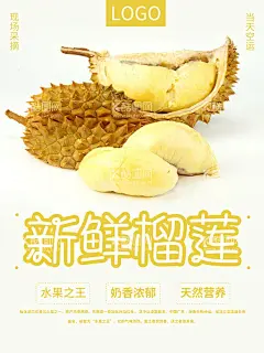 新鲜榴莲  - 源文件下载【酷图网】榴莲图片,榴莲素材,榴莲海报,榴莲展板,榴莲促销,淘宝榴莲主图,榴莲详情页,榴莲直通车,进口榴莲,水果店榴莲,榴莲热卖,榴莲特惠,美味榴莲,榴莲介绍,猫山王榴莲,泰国榴莲,金枕榴莲,榴莲banner,微信榴莲主图,微商城榴莲,微信榴莲配图,榴莲特价,水果之王榴莲,微店榴莲