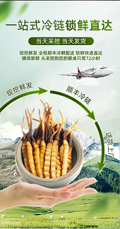 皮皮辉采集到虫草