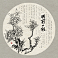 速写古茶树
