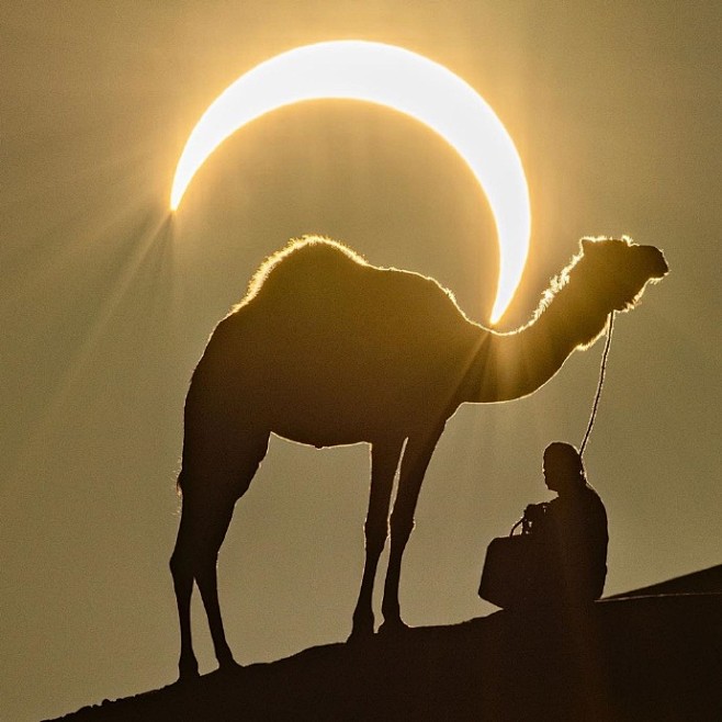 这组#骆驼背上的太阳#，今天的日偏食是我...