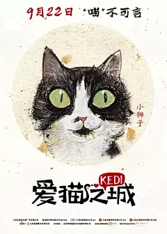 爱猫之城 Kedi 海报