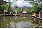 束河