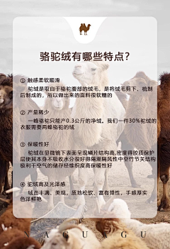 零舍滋味采集到海报