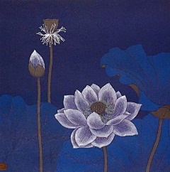 LULUG采集到莲花.综合