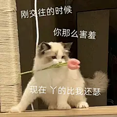 甜甜的恋爱表情包_04 (3)