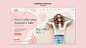 Summer collection banner template Free Psd