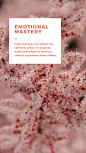粉色ins网红风格手机端APP广告海报H5模板Banner图（1080x1920）